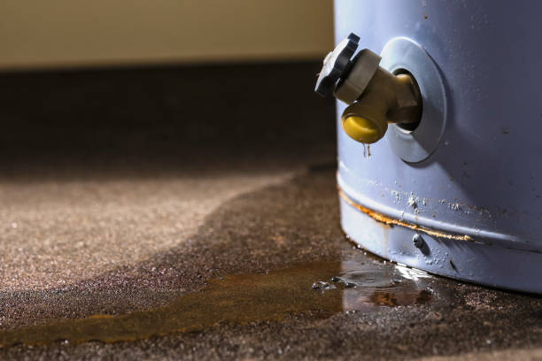 Best Residential water damage restoration  in Albany, CA