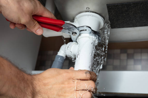 Best Flooded house restoration  in Albany, CA