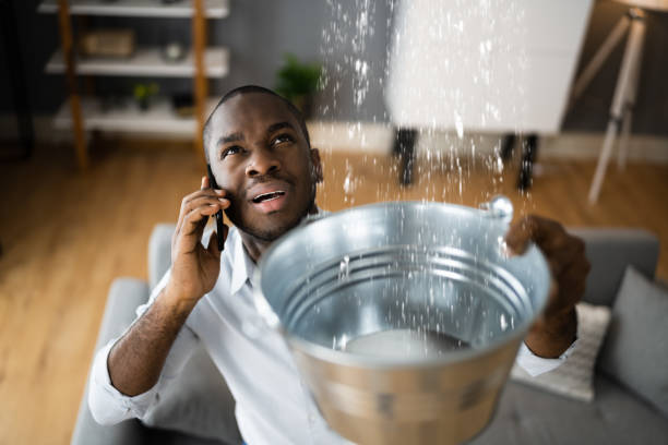 Best Basement water damage restoration  in Albany, CA