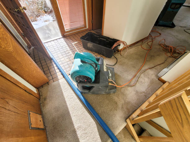 Best Flood restoration services  in Albany, CA