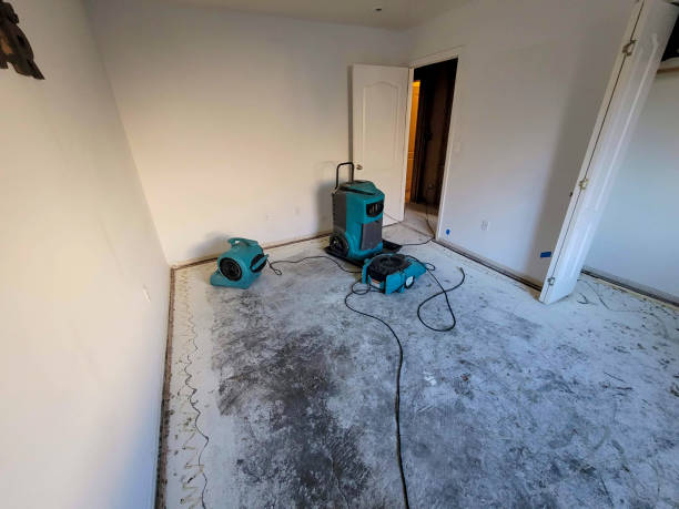 Best Water damage restoration process  in Albany, CA