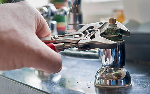 Best Flood damage cleanup  in Albany, CA