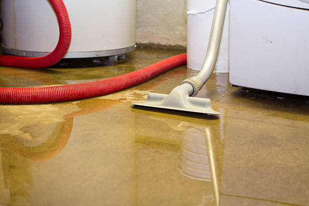 Best 24-hour water damage restoration  in Albany, CA