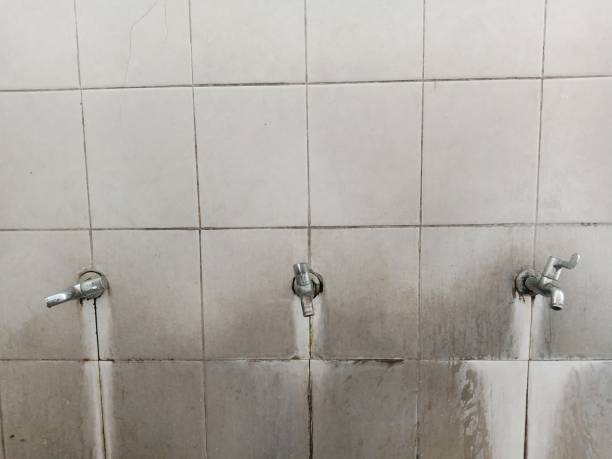 Best Water damage contractors near me  in Albany, CA