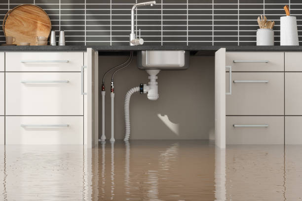 Best Water damage restoration near me  in Albany, CA