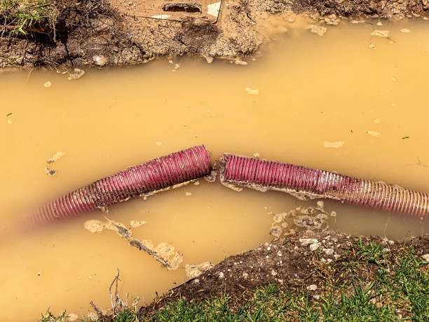 Best 24/7 water damage repair  in Albany, CA