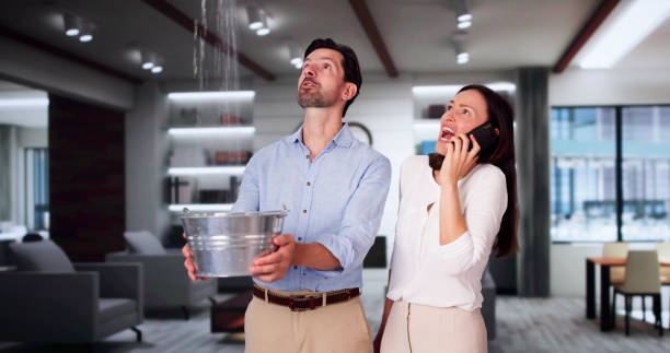 Best Ceiling water damage repair  in Albany, CA