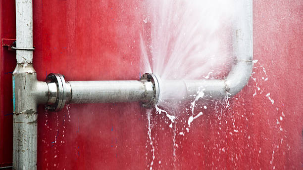 Best Local water damage restoration  in Albany, CA
